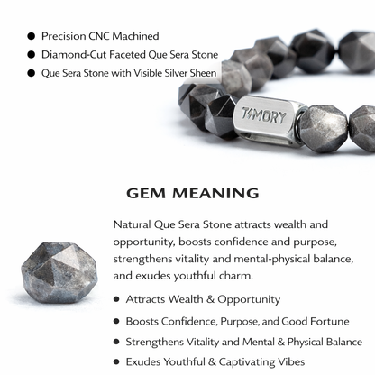 TIMORY Time Capsule Series Silver Sheen Obsidian Bracelet for Men