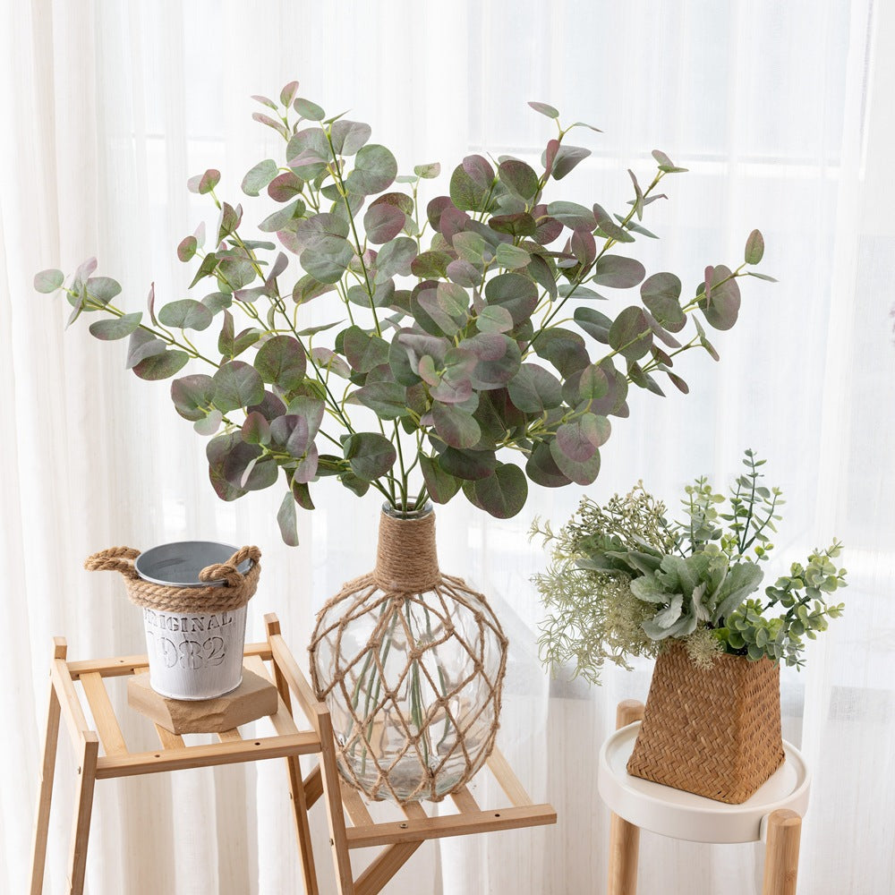 Artificial Money Eucalyptus