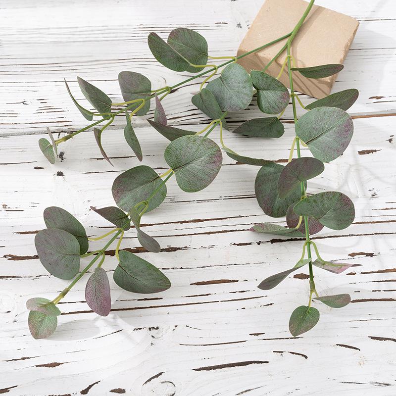Artificial Money Eucalyptus