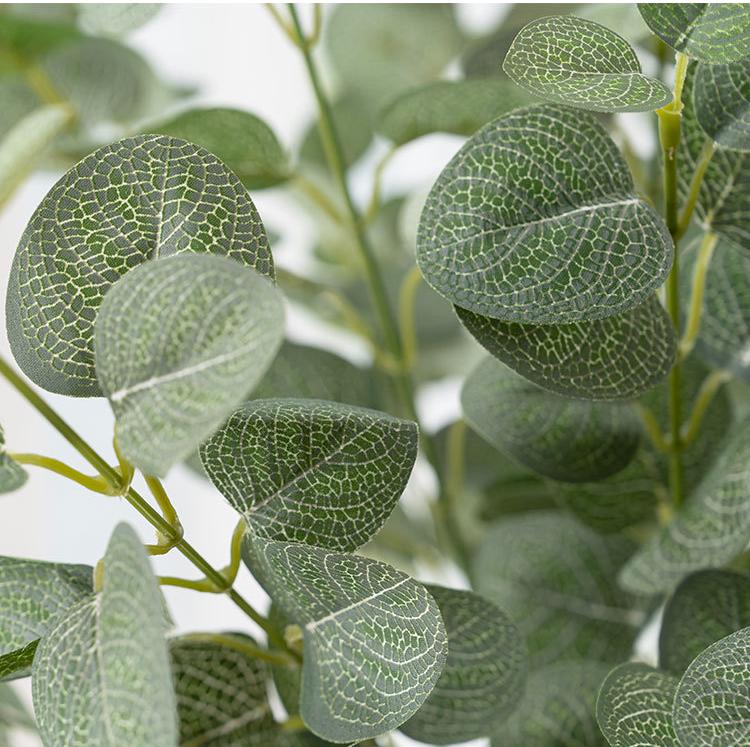 Artificial Money Eucalyptus